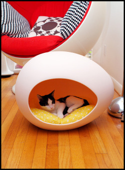 lovesexandhumor: I want an egg bed!