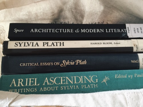 ablogwithaview:I finally gave back a bunch of the library books I’ve had for months. 