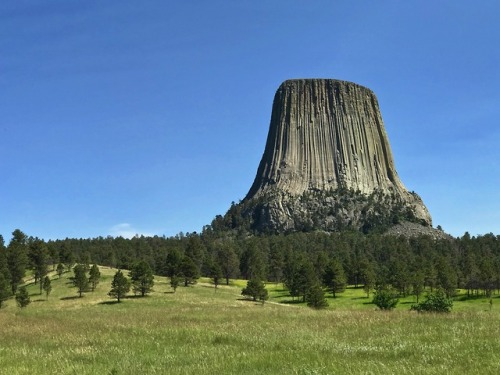 thelostcanyon:Devils Tower, a butte composed of igneous phonolite porphyry rising 867 feet from base