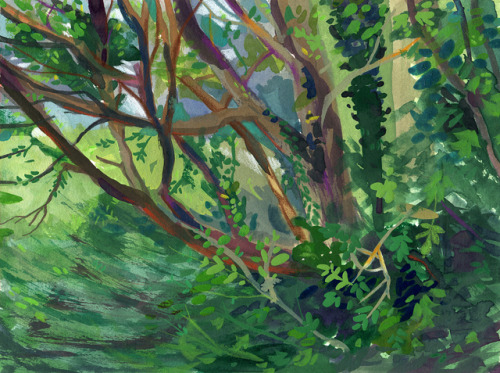 Another nature scene. I can clearly see a recuring theme with the bottom part of trees. I think it i