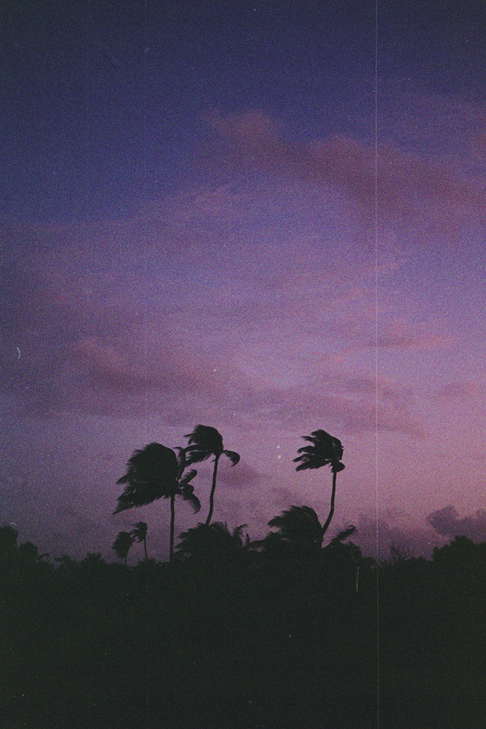 brutalgeneration:  (by Thomas van der Zaag) 