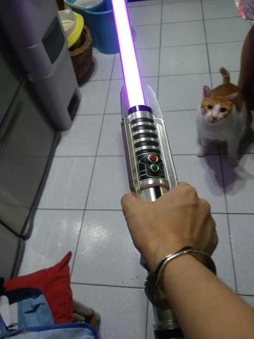 Got the Black Series Darth Revan lightsaber. My cat thinks the lightsaber buzzing noise is cat angry