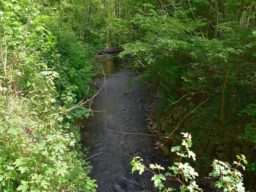 Mettmann: Excavation Site Of The Neanderthal Man