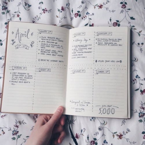 studymor:  moodboard: for studying