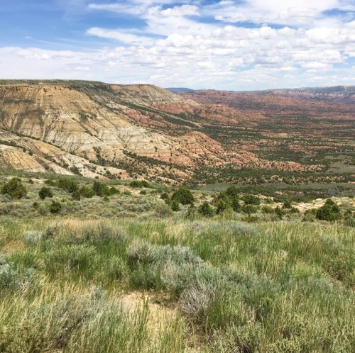 therunninggeologist:My day in four photos. I left pinedale this morning super excited to do high-res