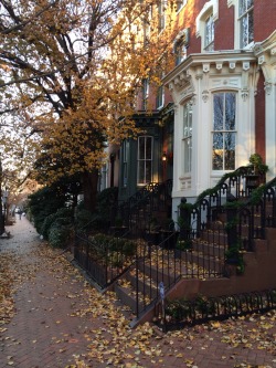 thecolonial:  Georgetown, Washington DC 