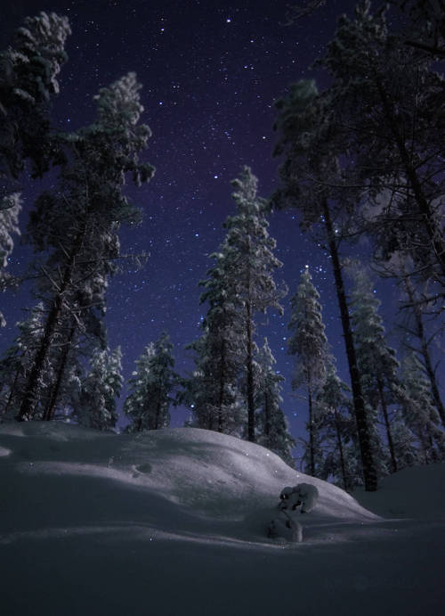 landscape-photo-graphy:  Magical Starry Night Photography By Joni Niemelä  Joni Niemelä is an expert photographer with a passion for capturing incredible images of the sky. His photography focuses on his motherland, Finland, his prime inspiration.