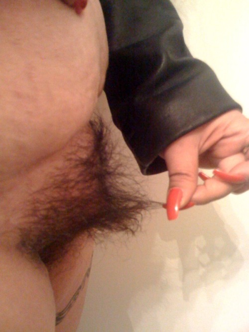 http://bellyhairandracingstripes.tumblr.com/post/115700055836