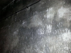 bundyspooks:  A photograph taken from the inside of a gas chamber at Auschwitz. The scratch marks on the wall are from the hundreds of dying prisoners trying to claw their way out as they were suffocated.