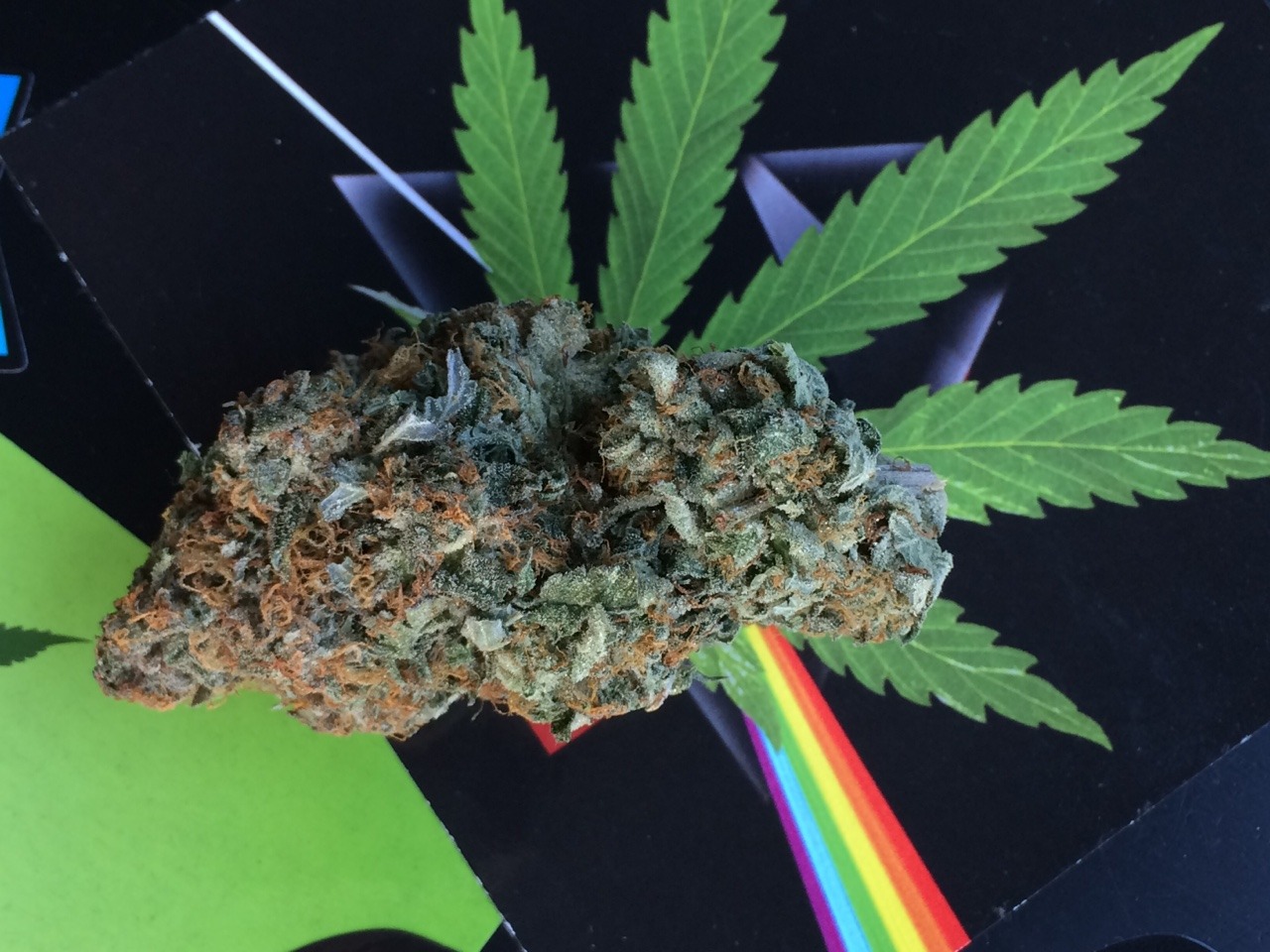 ganjaginga:  Bubba