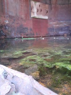 abandonedandurbex:  Still Water In An Old Mill Silo