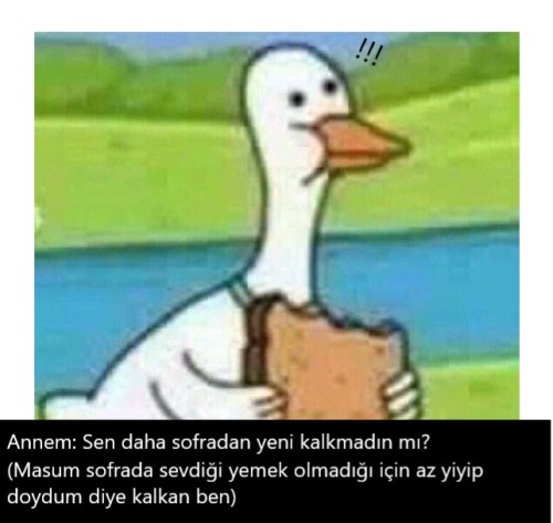 edebimariecurie