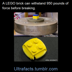 leadhooves:  ultrafacts:  (Fact Source) Follow Ultrafacts for more facts  now step on that lego