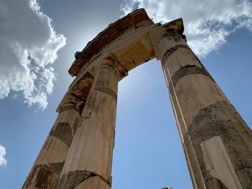 finelythreadedsky: Sanctuary of Athena Pronaia, Delphi, June 2019