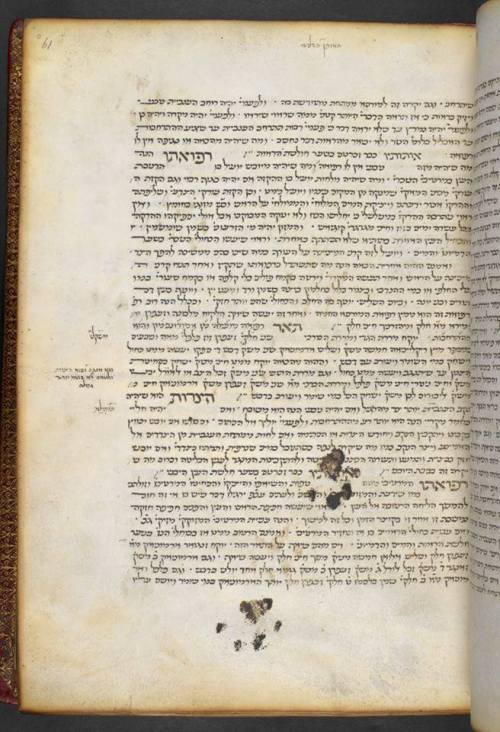 jewishhenna:  So apparently the “cat walked across my wet manuscript” thing can happen to Hebrew manuscripts too! Avicenna’s Canon in Hebrew translation, Italy, 15th century; BL Harley 5707, image courtesy of Zsófi Buda. 