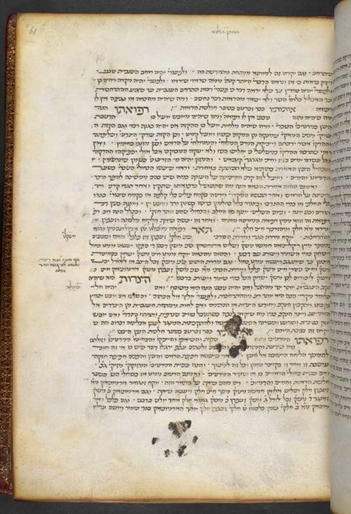 jewishhenna:So apparently the “cat walked across my wet manuscript” thing can happen to Hebrew manus