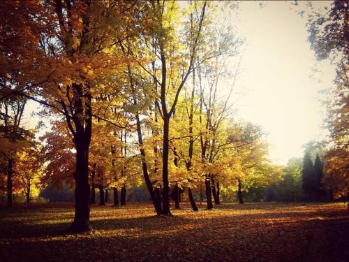 &ldquo;I&rsquo;m so glad I live in a world where there are Octobers.&rdquo; #anneofgreengables #anne