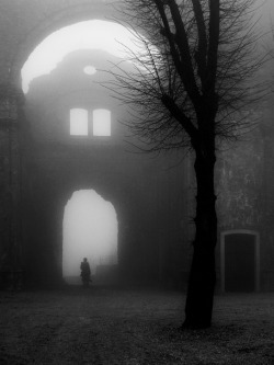 branislavfabijanic:  Misty morning Branislav Fabijanic    20/12/13