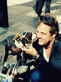 ladylorelitany:  astronomielover: peyton-sawyer-scott18:  Jeff and puppies.   Jeffrey Dean Morgan + Dogs = 💘💞💓  Always reblog Jeff and dogs. <3