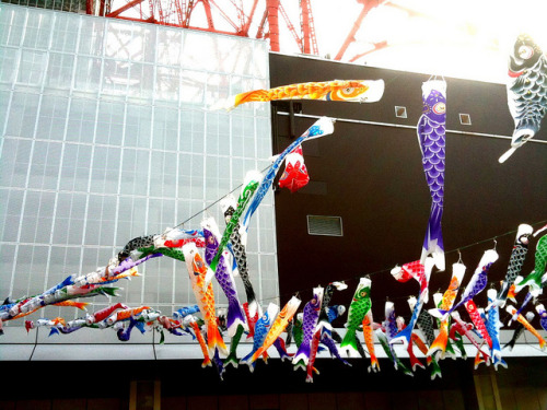 dreams-of-japan:  Children’s Day Holiday by ARCHiPhone on Flickr. 