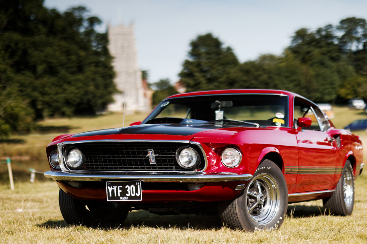 Muscle Car Instant