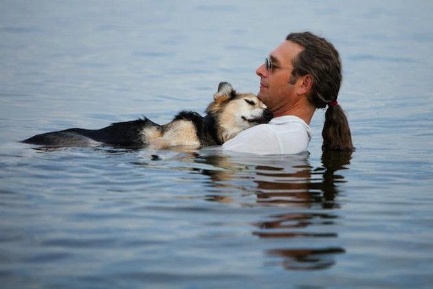 arcaneimages:  Schoep, a 19 year old dog, is taken into the lake every night by his