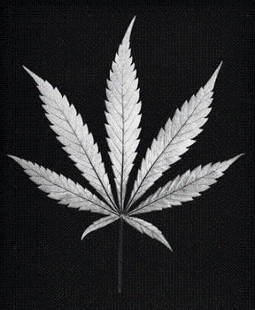 Quem vai busca p fuma?