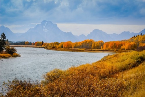 grandtetonpark:Do you need some Autumn Splendor?I headed for the Tetons this past weekend, looking f