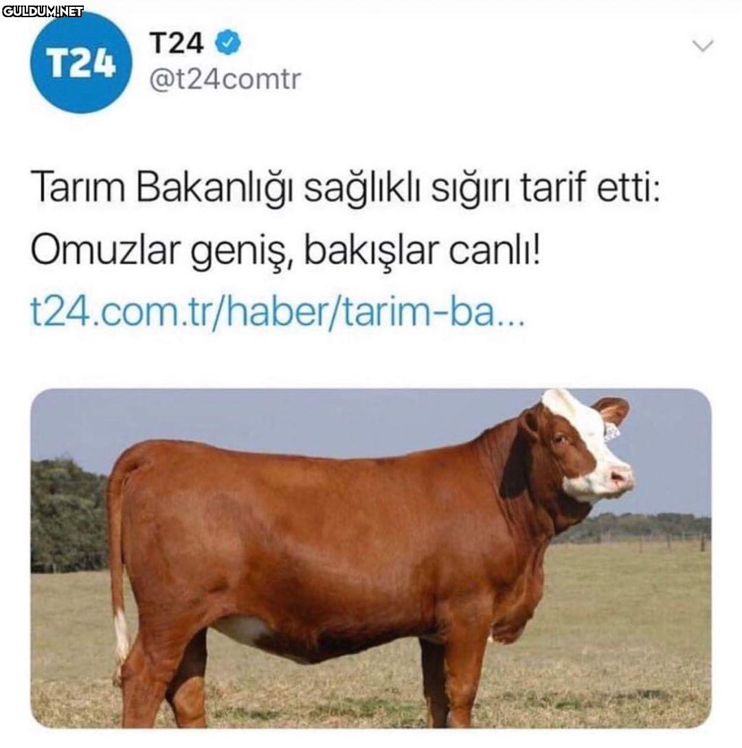 Çevrenizdeki sağlıklı...