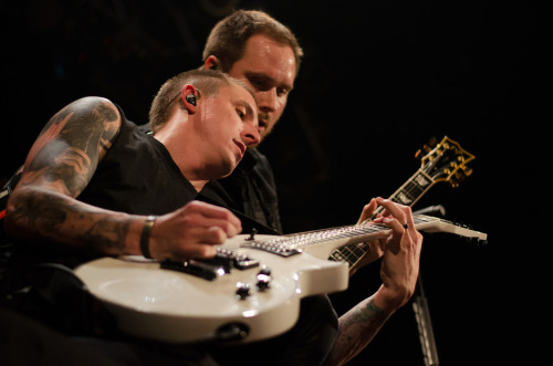 backseatmarinade:  Yellowcard (by mariahacarrillo) 