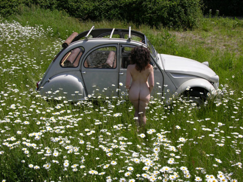 girlsandmachines: Daisies and the 2CV by Tittch.