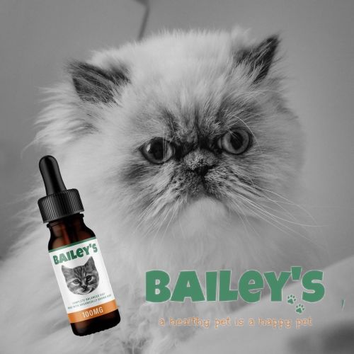 Bailey’s veterinarian formulated full spectrum hemp CBD oil for cats is the perfect MUST HAVE 