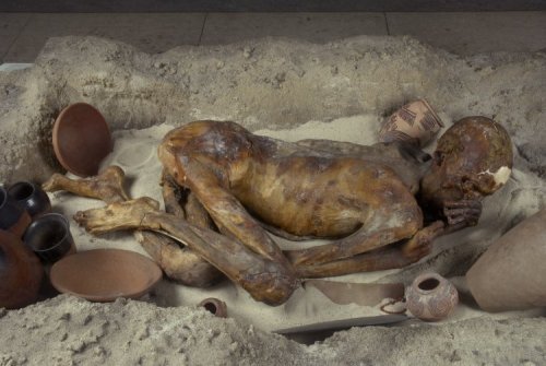 ~ Predynastic Egyptian Man.