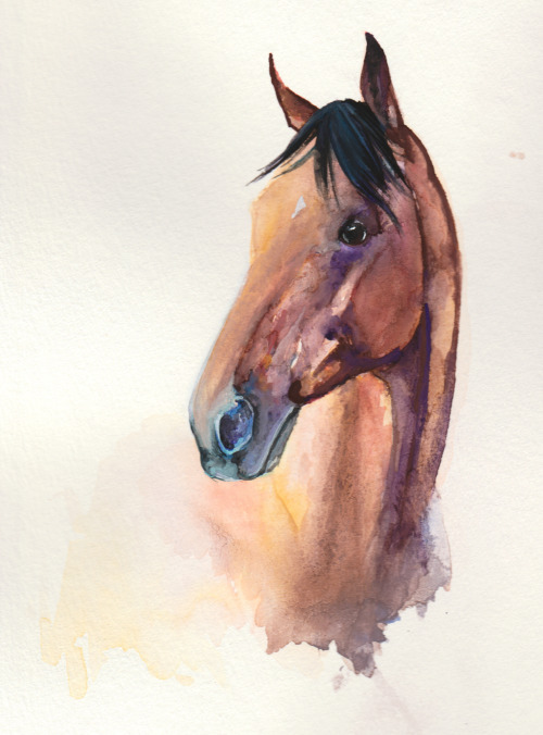 silly-fox-in-sox:American Pharoah with watercolorsStill trying to loosen up more while I paint - it’
