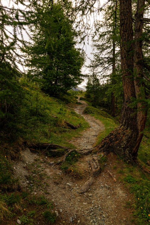 Trails of the TMR 1-5/? - Tour de Monte Rosa, July 2021photo by: nature-hiking