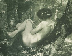 ekkert-heiti: Dr. Felix Muhr 1907. Photogravure