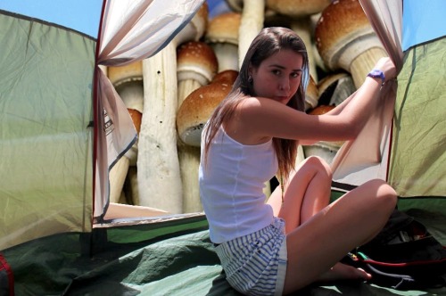 Once I opened the door to our tent and BAM there were mushrooms everywhere so we munched the lot of 