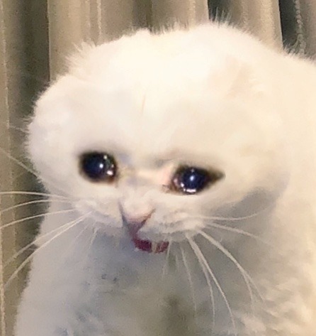 Oh Wow This Chapter Was Such A Rollercoaster Of Emotions!! I Went From Sad To Happy To Sad Again To Angry