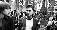 bahtmun:  Harry Potter Challenge: Five Relationships Through The Years⤵  #1: The