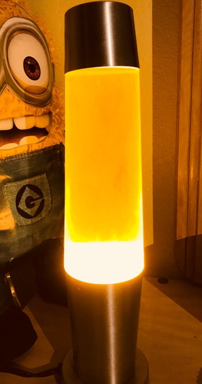 mysticbaconslice: mysticbaconslice:   mysticbaconslice:  hey someone ask me what my least favorite piece of home decor in my room is  it’s my old ass piss flavored lava lamp   first of all Dave is a fucking guest  