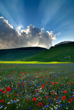 wowtastic-nature:  Godlight by  Luca Giustozzi on 500px.com