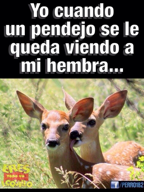 tepenetroennochebuena:  😒