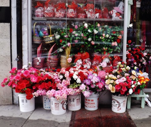 mnagos:$1 stores are bringing out the flowers for spring 