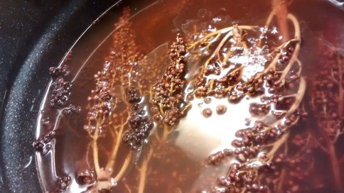 A glimpse of our natural dyeing process. 2DyeCru are true ‘cottage’ dyers! Everything is dyed at our