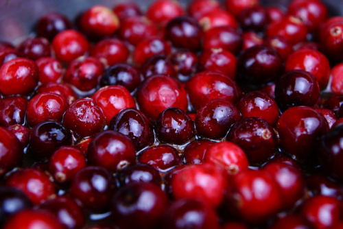 enchanting-autumn:  Homemade Cranberry Sauce by Wildman 60D on Flickr.