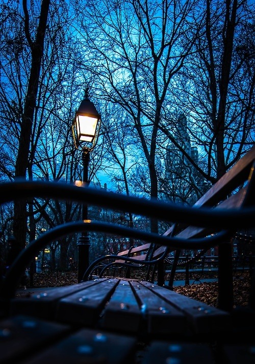 f-a-s-c-i-n-a-c-a-o:  ♡ more photographs - visit my blog ♡   
