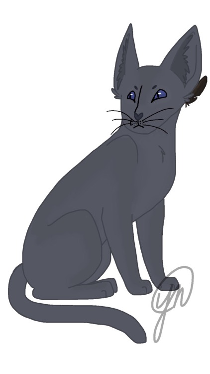 Here&rsquo;s Crowpaw/feather when he was super angsty and mad bout everything