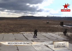 krisschultystuff:  Russian Soldiers fire
