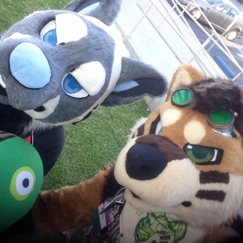 megahyena: Megabyte and rieoux were more than happy to represent the seadogsuits family at Califur! 