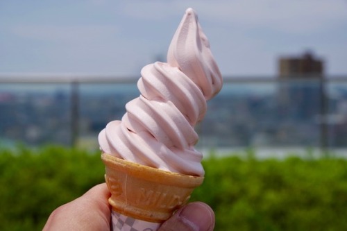 山形屋 Tumblr 山形屋 Tumblr